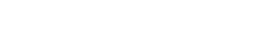 light logo